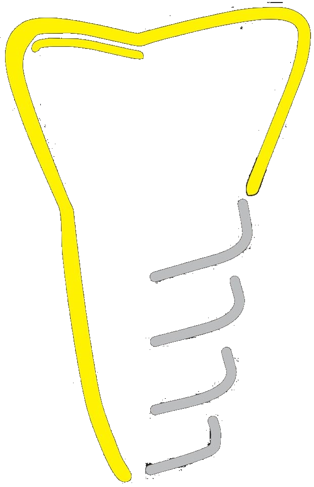 Triandria Smiles Logo